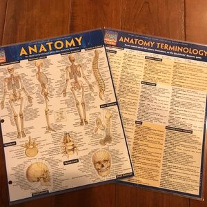 ANATOMY AND ANATOMY TERMINOLOGY QUICKSTUDY LAMINATED REFERENCE GUIDE